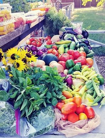 Fresh produce from the garden - tomatoes, peppers, sunflowers, and more