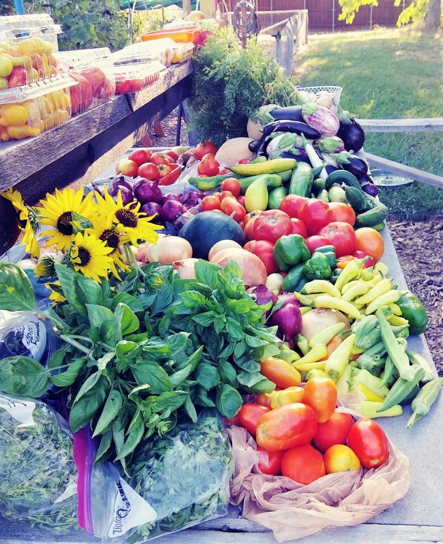 Harvesting